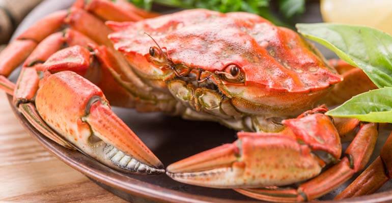 цинк медь йод +в каких продуктах содержится